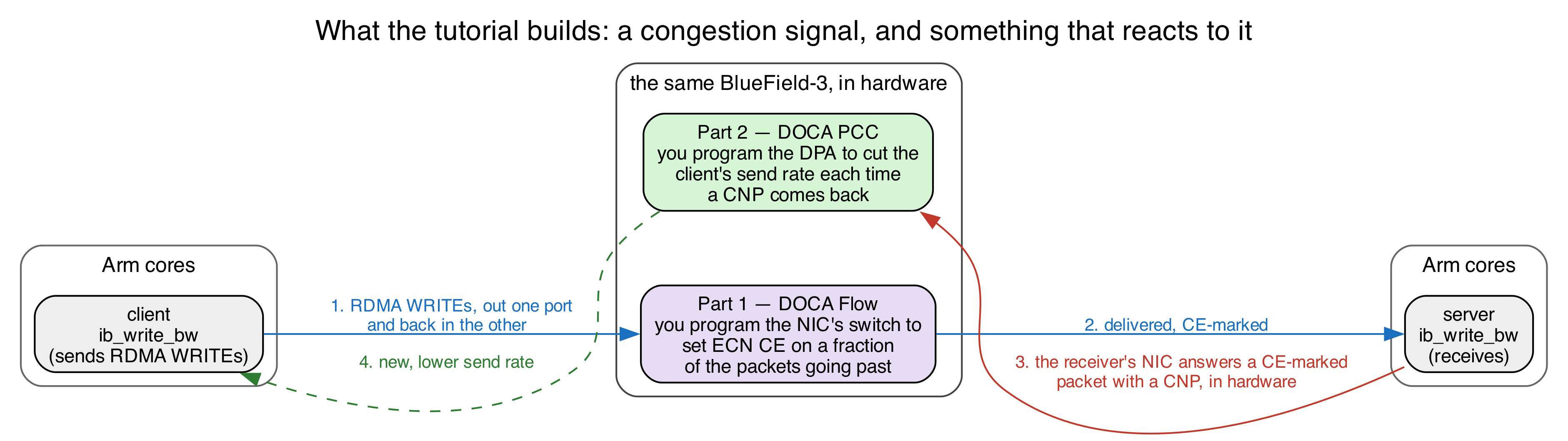 You write the marking in Part 1 and the reaction in Part 2. The client, the server, and the CNP the receiver's NIC sends back are already there.